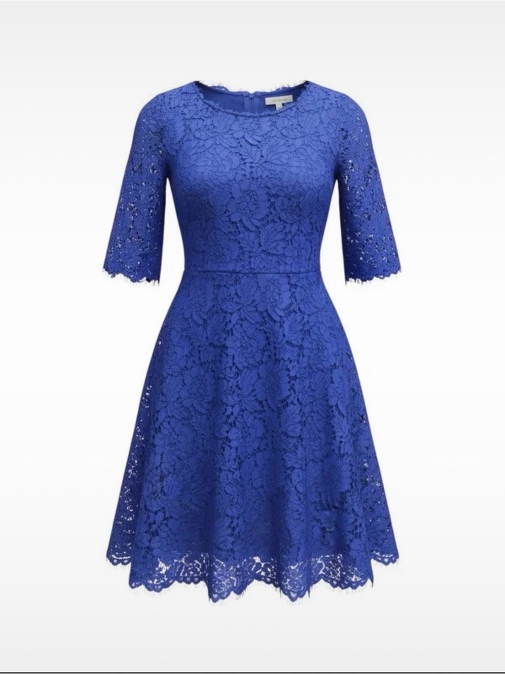 Eliza J Royal Blue Lace Fit-and-Flare Midi Dress